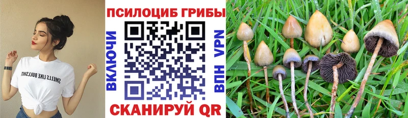 Галлюциногенные грибы Cubensis  Бавлы 